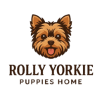 buy yorkie puppies online